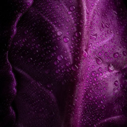 LAUNCH/CHRISTMAS EVENT TICKET